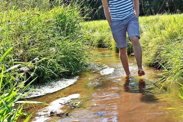 Человек Ходит Небольшому Течению Реки Лесу — стоковое фото