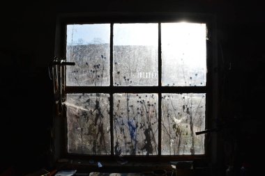 Çiçekler yansıma ile eski ahşap pencere