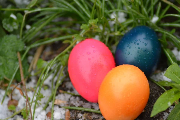 Blahopřání Šťastné Velikonoční Kartě Barevnou Vejci Zelené Trávě — Stock fotografie