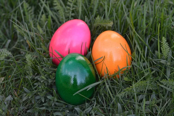 Plantilla Tarjeta Pascua Feliz Con Huevos Colores Hierba Verde — Foto de Stock