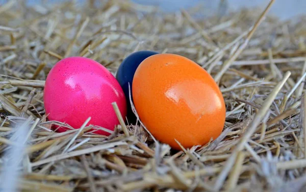 Primer Plano Huevos Pascua Colores Paja — Foto de Stock