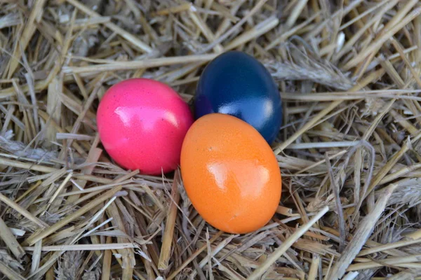Primer Plano Huevos Pascua Colores Paja — Foto de Stock