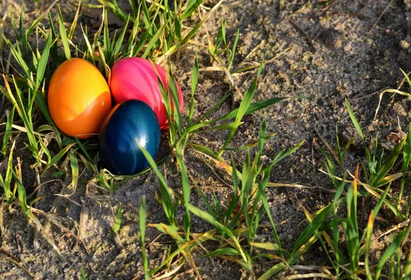 Blahopřání Šťastné Velikonoční Kartě Barevnou Vejci Zelené Trávě — Stock fotografie