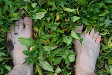 Yeşil çıplak ayakları ile ayakta