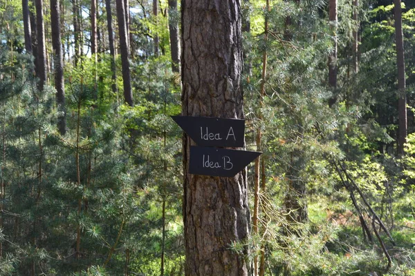 Sign in the forest says Plan A and Plan B