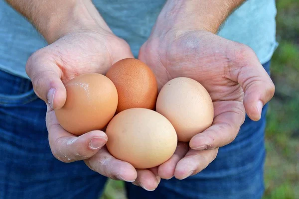 elinde yumurta tutma