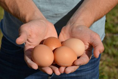 elinde yumurta tutma