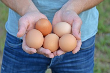 elinde yumurta tutma