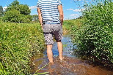 Ayakları üzerinde yakın çekim - adam yavaş yavaş sıcak yaz gününden kendini yenilemek için içinde bitkiler ile küçük bir gölet içine ayakları ile yürür 