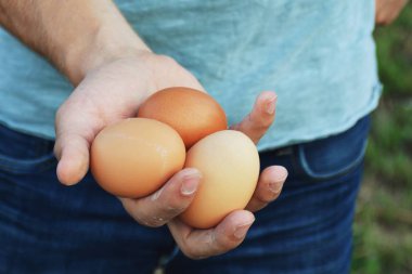 elinde yumurta tutma