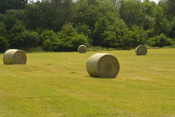 Hay Bales Gudang — Stok Foto