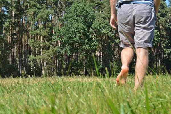 Κοντινό Στο Πόδι Άνθρωπος Περπατάει Καλοκαίρι Μέσα Από Ένα Καταπράσινο — Φωτογραφία Αρχείου