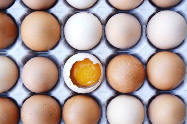Otuzlu bir petek yumurta birkaç yumurta yatıyordu, bir açık ve yumurta sarısı görünür-bir yumurta kutunun geri kalanı farklıdır çünkü kırık-yumurta ile bireysel diyet kavramı