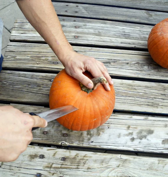 Cut Pumpkin Halloween — Stock Photo, Image