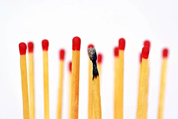 A burned match stands against a white background, next to it and behind are intact matches with a red heads. Concept for burnout and exhaustion