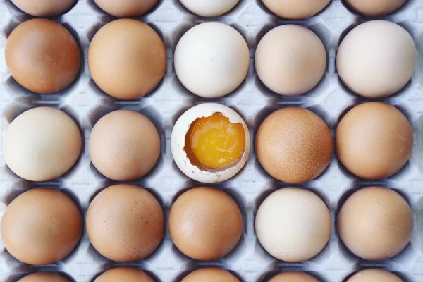 Trinta Ovos Favo Mel Põem Alguns Ovos Aberto Gema Ovo — Fotografia de Stock