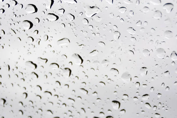 Drops of water collect on a plastic wrap after a rain and reflect the sun shining after the rain - a natural play with light, raindrops and the sun