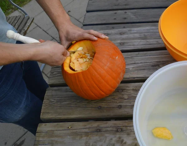 Cut Pumpkin Halloween — Stock Photo, Image