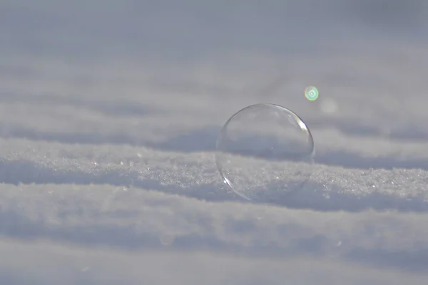冬の凍ったシャボン玉 — ストック写真