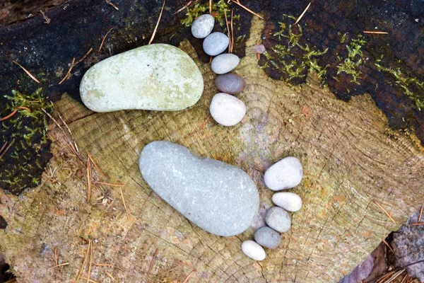 Сліди Каменів Осінньому Листяному Ґрунті — стокове фото