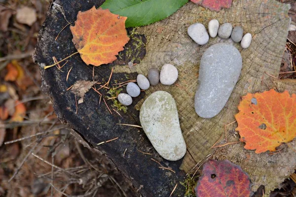 Fußabdruck Von Steinen Auf Einem Herbstlichen Laubboden — Stockfoto