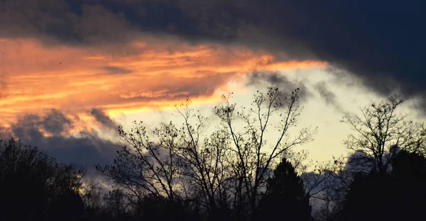 Puesta Sol Cielo Nubes Sobre Bosque Con Nubes Rosadas Púrpuras — Foto de Stock