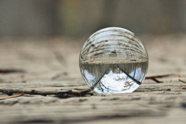 arka planda sonbahar yaprakları ile cam top 