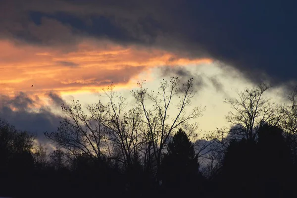 Pôr Sol Céu Nuvens Sobre Uma Floresta Com Nuvens Rosa — Fotografia de Stock