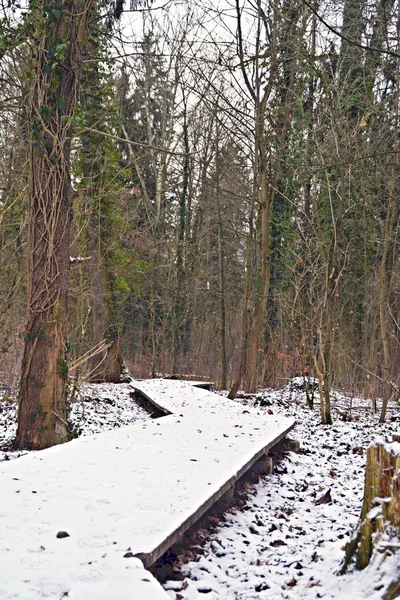 Vyhlídkový Pohled Krásnou Lesní Krajinu Zimě — Stock fotografie