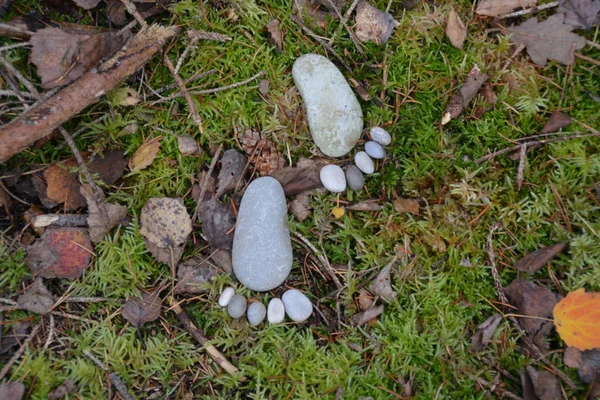 Fußabdruck Von Steinen Auf Einem Herbstlichen Laubboden — Stockfoto