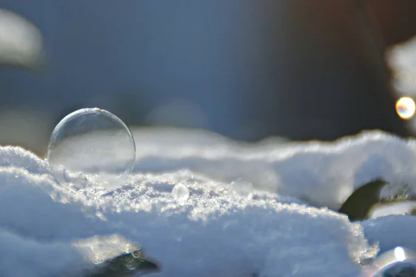 Bolha Sabão Congelado Inverno — Fotografia de Stock