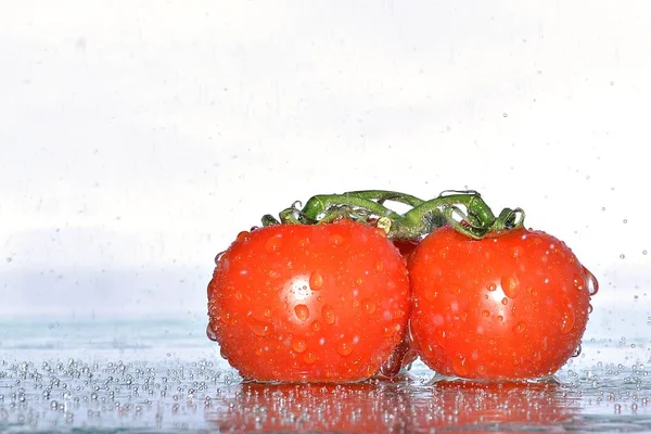 Tomates Agua Salpicada —  Fotos de Stock