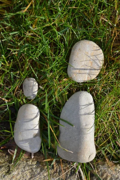 Steine Auf Der Wiese Als Symbol Der Scheidung — Stockfoto