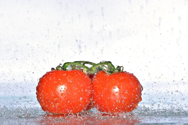 tomatoes in water splash