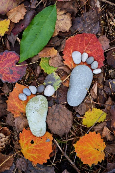 Fußabdruck Von Steinen Auf Einem Herbstlichen Laubboden — Stockfoto