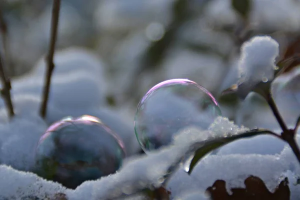 Bolha Sabão Congelado Inverno — Fotografia de Stock