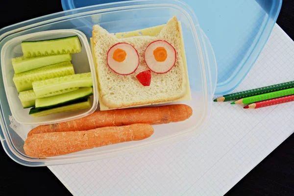 Break Bread Box Full Vegetables Owl Toast — Stock Photo, Image
