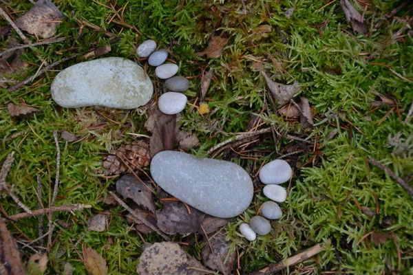 Fußabdruck Von Steinen Auf Einem Herbstlichen Laubboden — Stockfoto