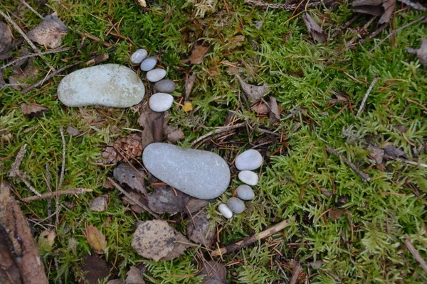 Fußabdruck Von Steinen Auf Einem Herbstlichen Laubboden — Stockfoto