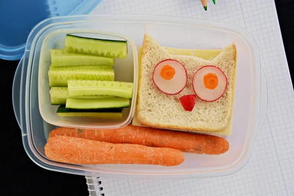 Break Bread Box Full Vegetables Owl Toast — Stock Photo, Image