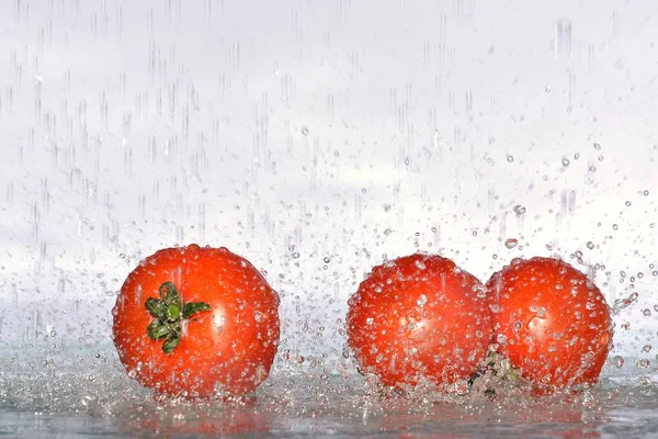 Tomates Agua Salpicada —  Fotos de Stock