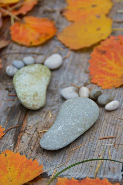 Fußabdruck Von Steinen Auf Einem Herbstlichen Laubboden — Stockfoto