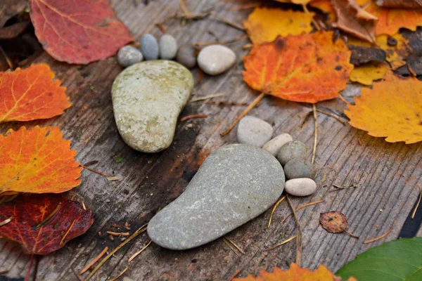 Fußabdruck Von Steinen Auf Einem Herbstlichen Laubboden — Stockfoto