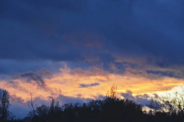 Pôr Sol Céu Nuvens Sobre Uma Floresta Com Nuvens Rosa — Fotografia de Stock