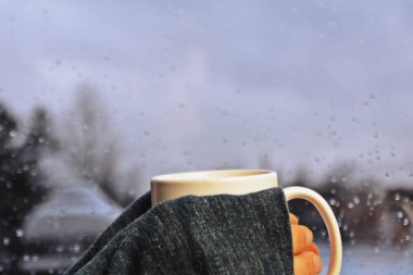 yağmurlu bir günde bir fincan çay tutmak  