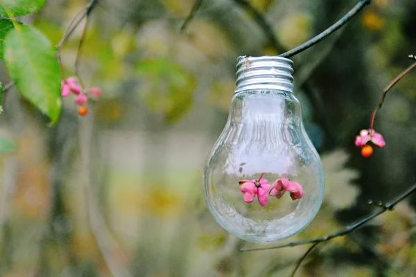 Ampoule Avec Des Fleurs Elle Suspendue Haut — Photo