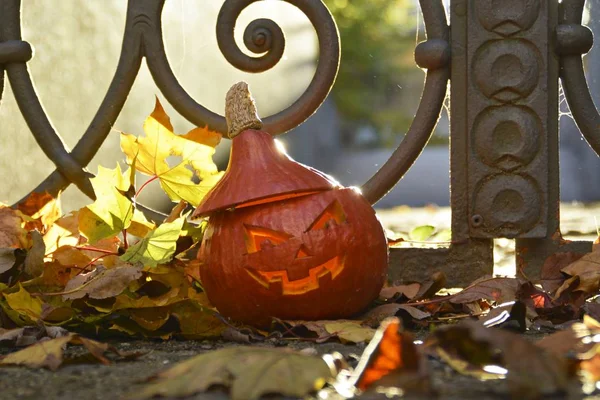 Halloween Pumpkins Surrounded Autumn Leaves — Stock Photo, Image