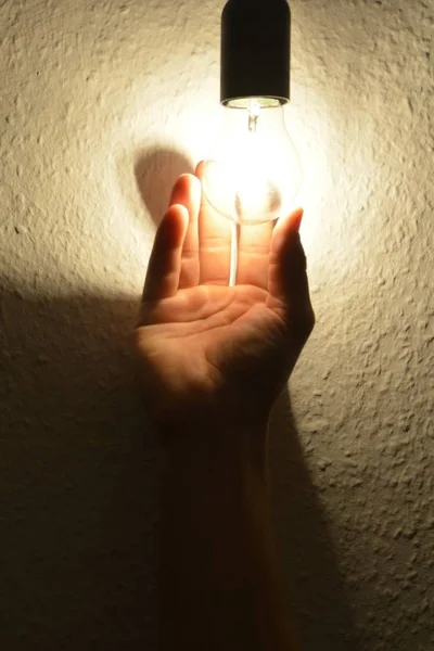 Tenir Une Ampoule — Photo