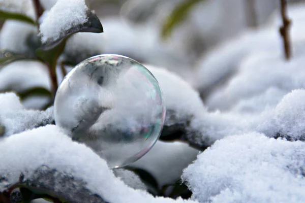 Bolha Sabão Congelado Inverno — Fotografia de Stock