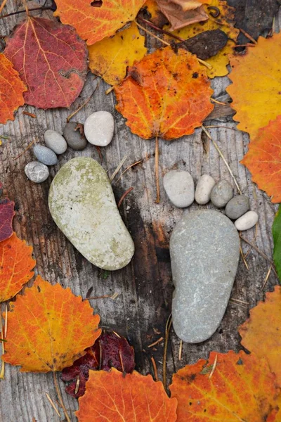 Fußabdruck Von Steinen Auf Einem Herbstlichen Laubboden — Stockfoto